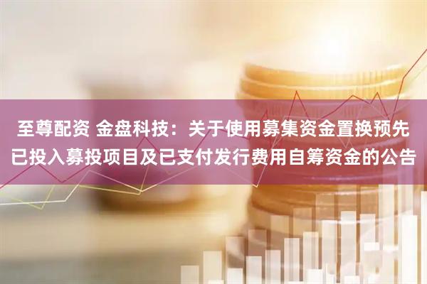 至尊配资 金盘科技：关于使用募集资金置换预先已投入募投项目及已支付发行费用自筹资金的公告