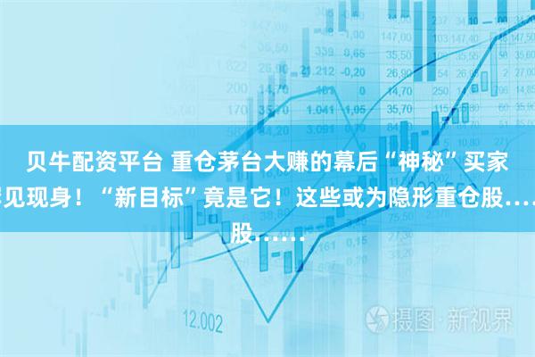 贝牛配资平台 重仓茅台大赚的幕后“神秘”买家罕见现身！“新目标”竟是它！这些或为隐形重仓股……